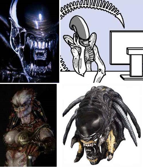 Best Craigslist Looking for Romance Ad Ever Illegal Alien Wants to Bed A Predator AVP Best Craigslist Personal Ad Ever