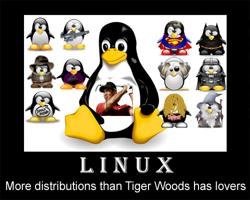 Linux and Tiger Woods Need to Focus! What Does Tiger Woods and Linux Have In Common?