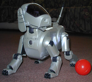 Lucky the $15 Aibo playing ball Lucky the $15 Aibo