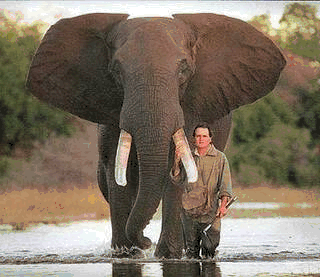 A Heartwarming story Man and elephant a heart warming story