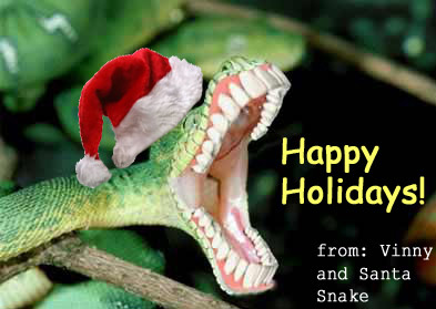 Merry Xmas from Santa Snake
