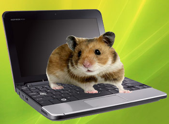 Netbooks are underpowered tripe