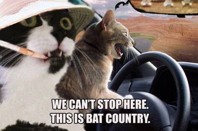 Bat Country