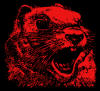 redangrysquirrel.jpg